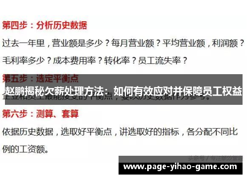 赵鹏揭秘欠薪处理方法：如何有效应对并保障员工权益